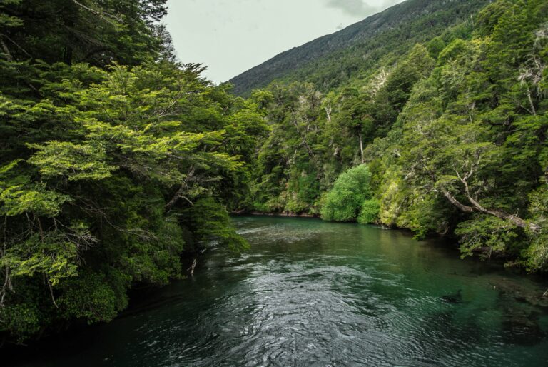 Environment and sustainability